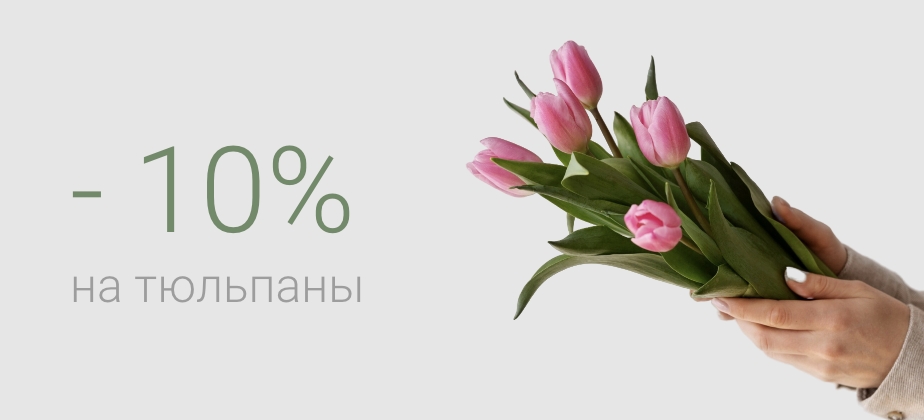 Баннеры