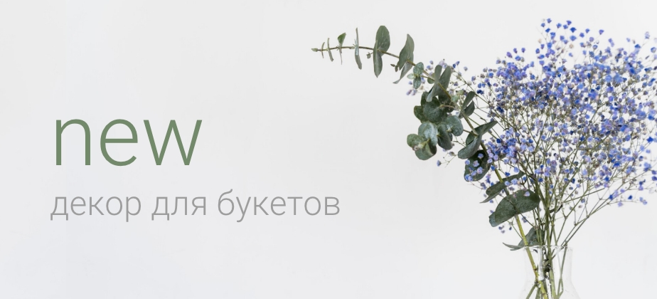 Баннеры