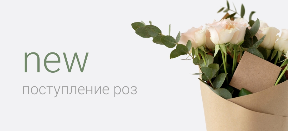 Баннеры